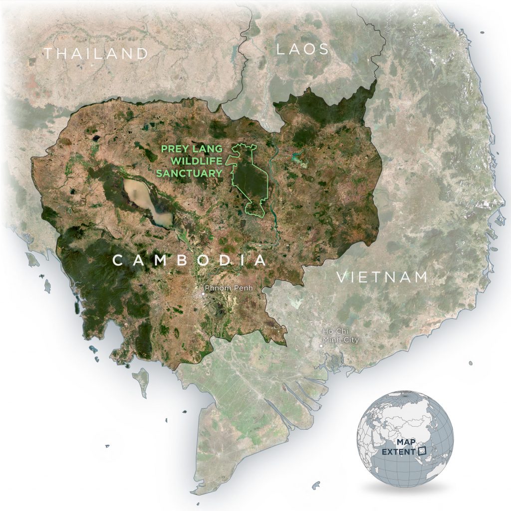 What are the causes of deforestation in the ? - Internet Geography