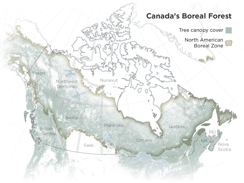 Canada Boreal Forest Distribution Map 1024x767 