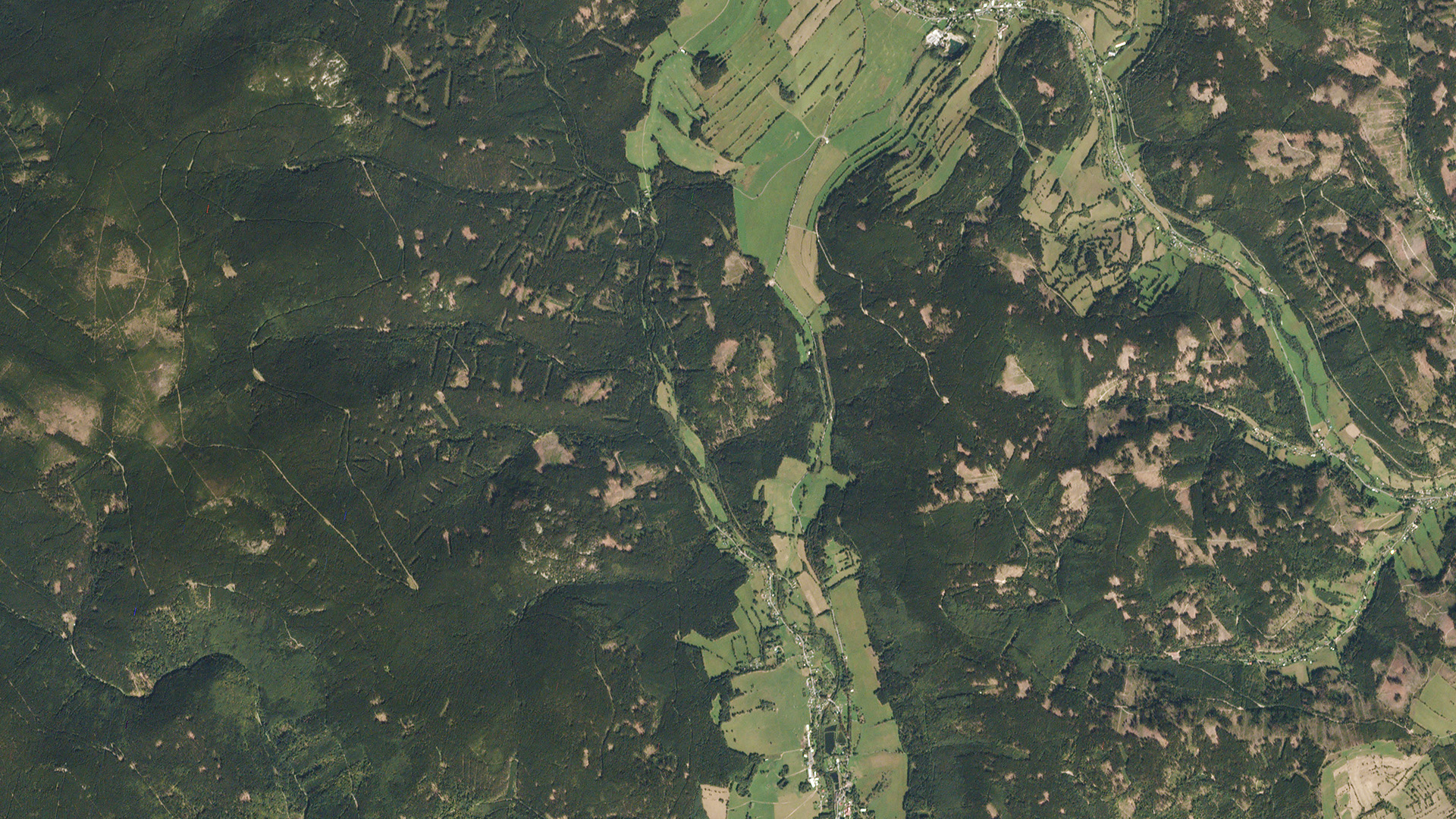 Data PlanetScope byla použita pro mapování a sledování lesů České republiky