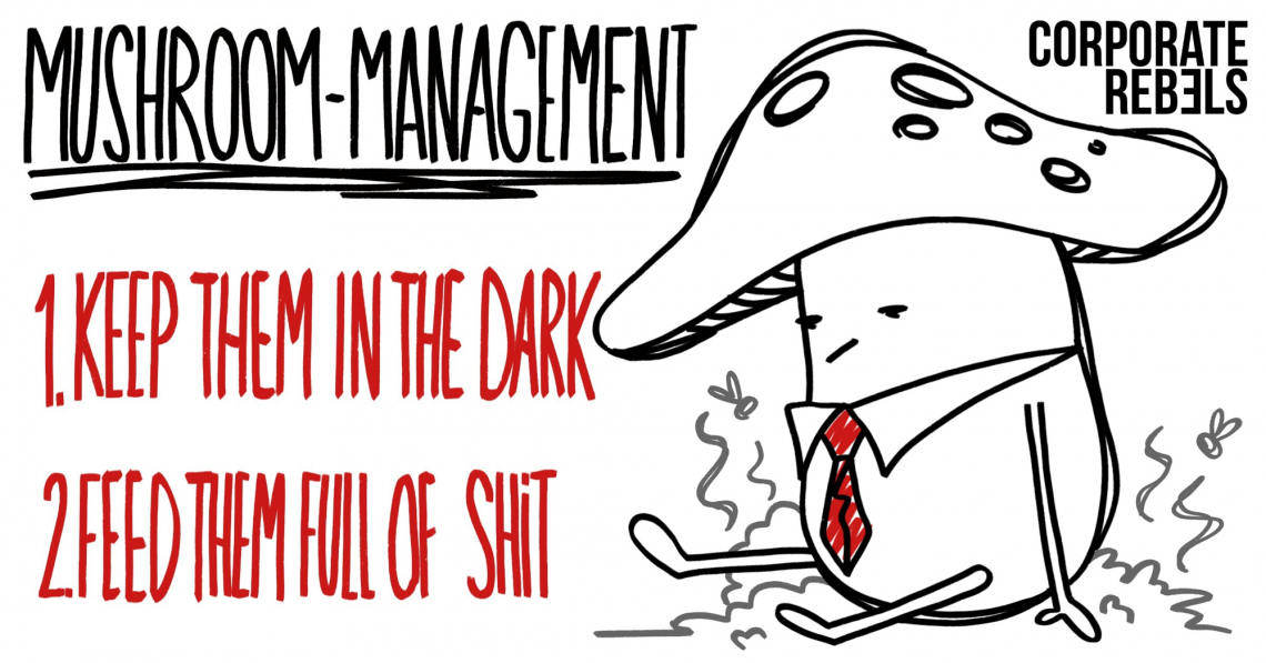 Challenges of Flat Organizational Structures example mushroom management