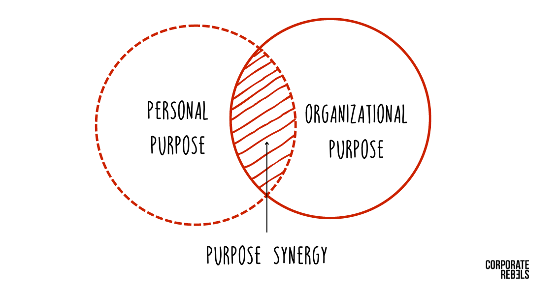 The Purpose Experiment: From Dream to Crushing… | Corporate Rebels