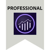 Adobe Analytics Professional