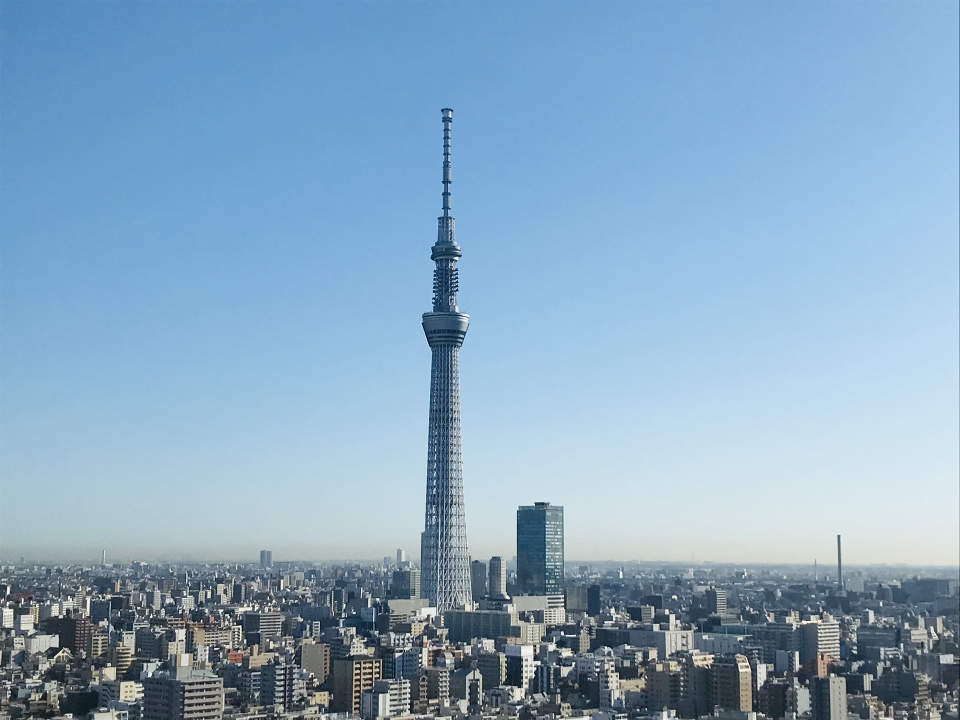 スカイツリー_image_id_69