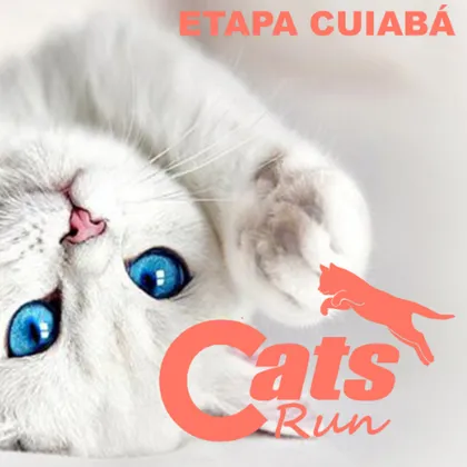 Imagem de divulgação da corrida Cats Run Mt 2027