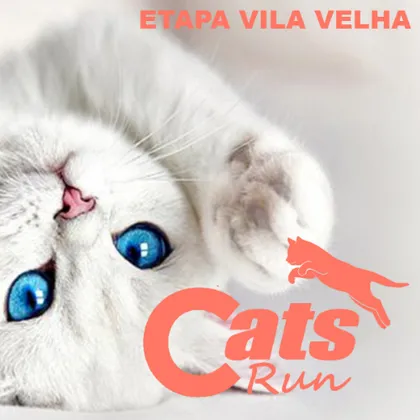 Imagem de divulgação da corrida Cats Run Es 2027