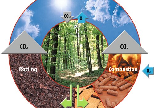 Biomass balance