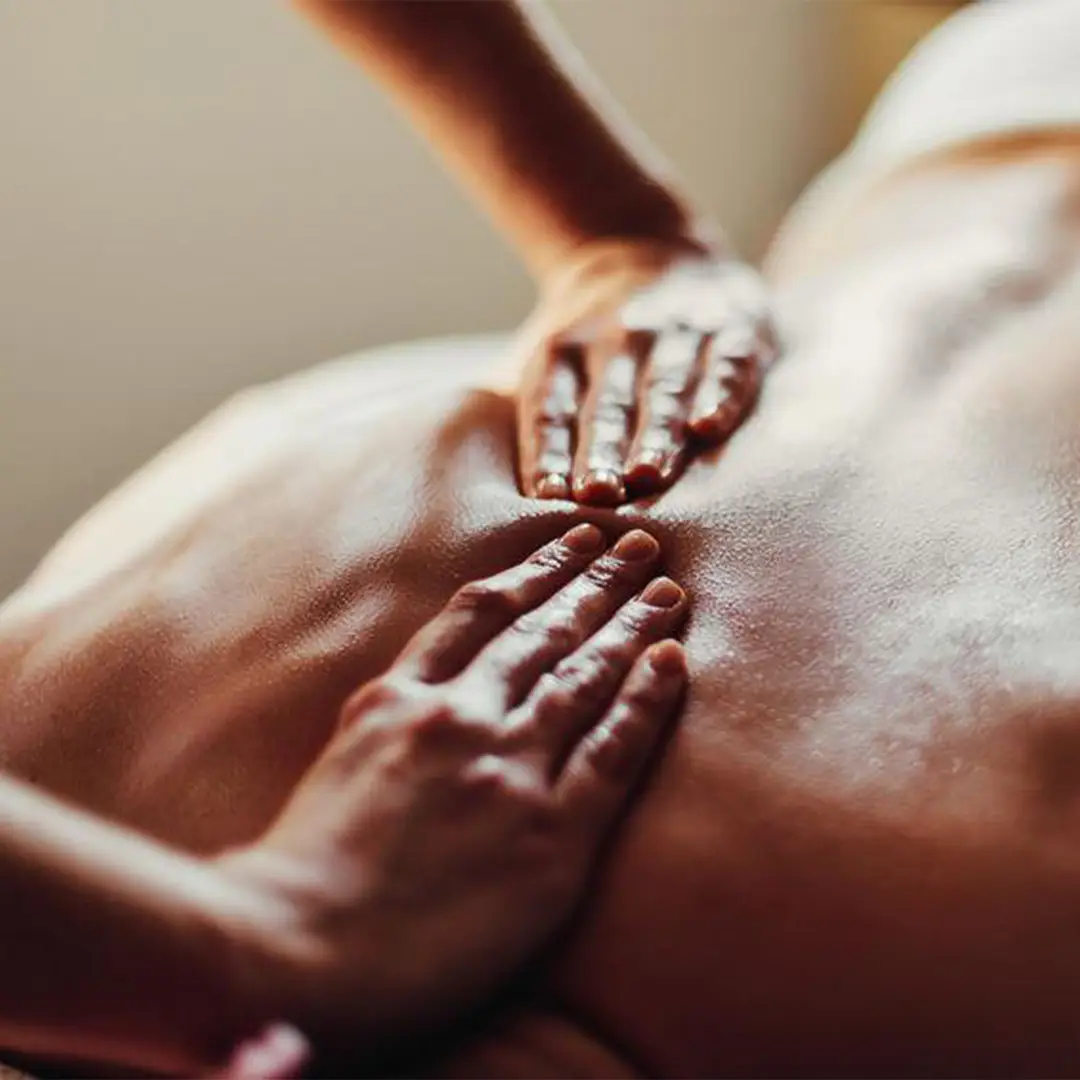 Copertina del corso: Massaggio Bioenergetico Olistico