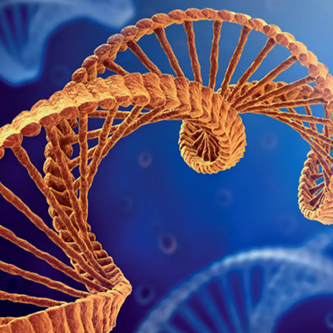 Copertina del corso: Epigenetica (e oltre): Un ponte tra Biologia e Coscienza