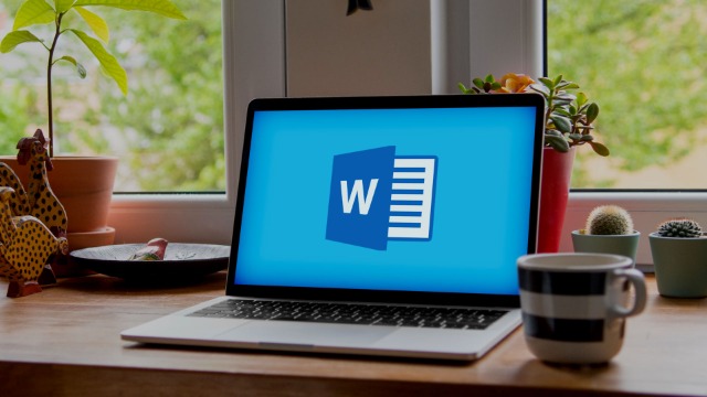 Microsoft Word versioni 2013 e 2016: il corso Fondamentale