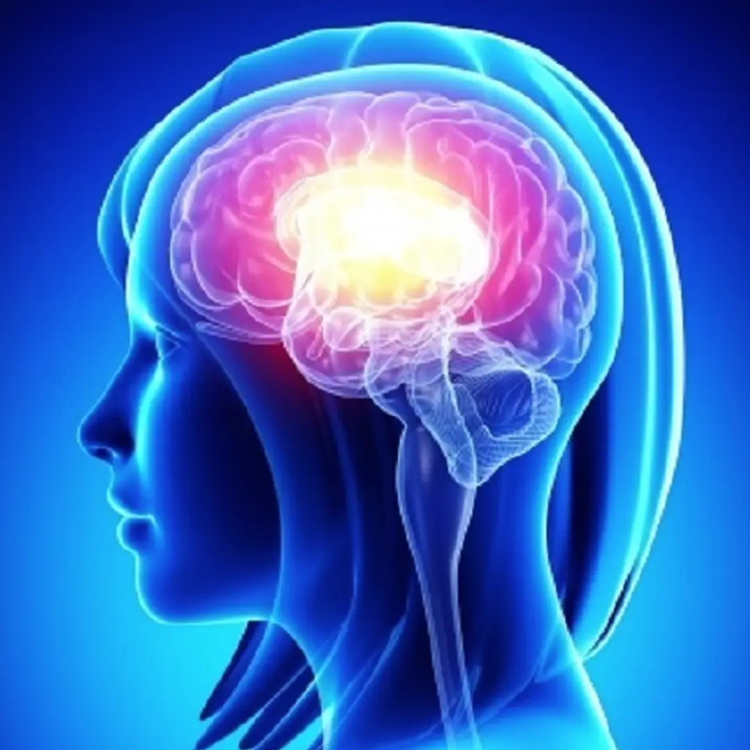 Copertina del corso: Psicosomatica di Hamer: il Corso Fondamentale per Interpretare Conflitti, Organi e Psiche in Chiave Biologica