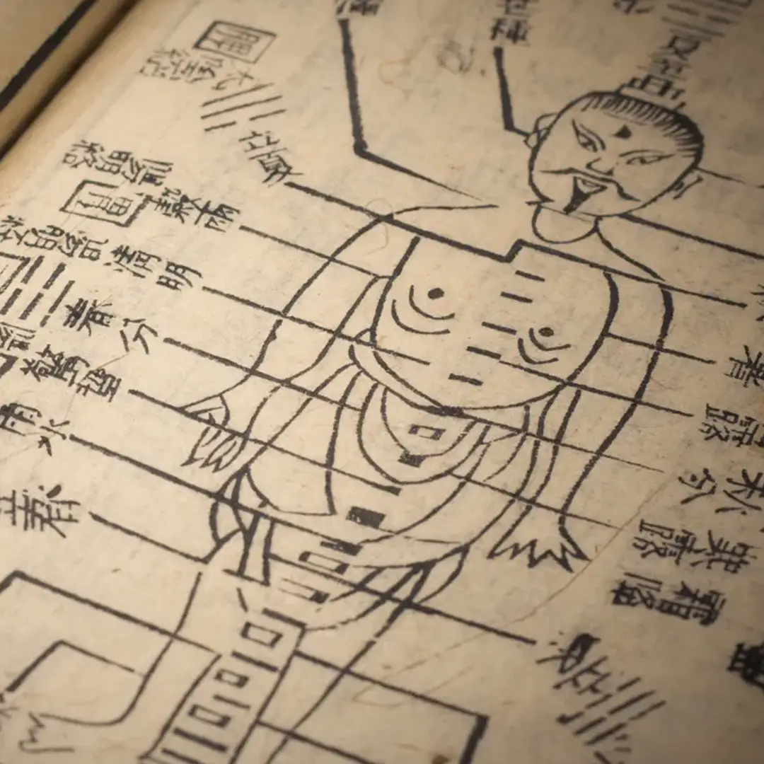 Copertina del corso: Medicina Energetica Cinese