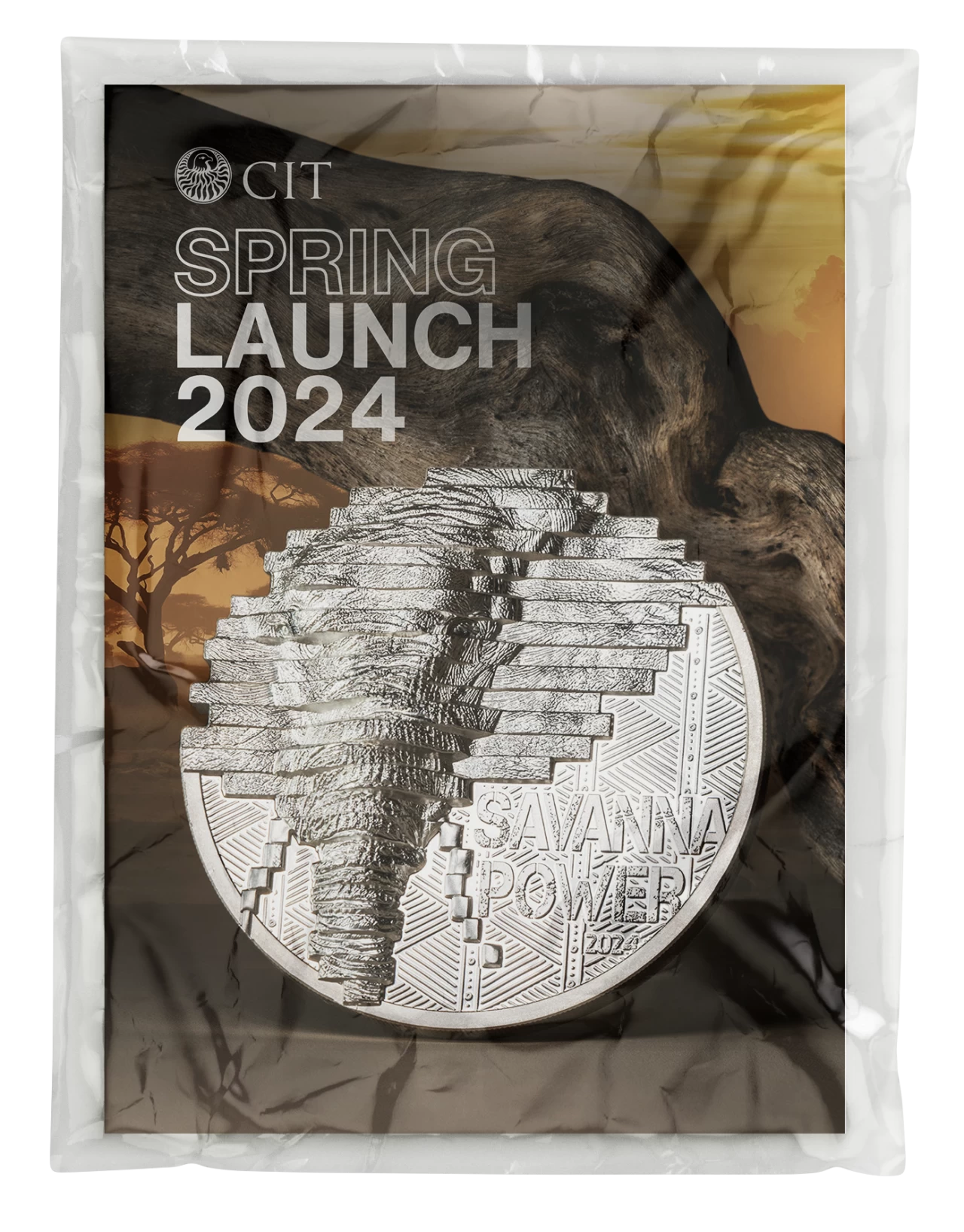 Spring Launch 2024