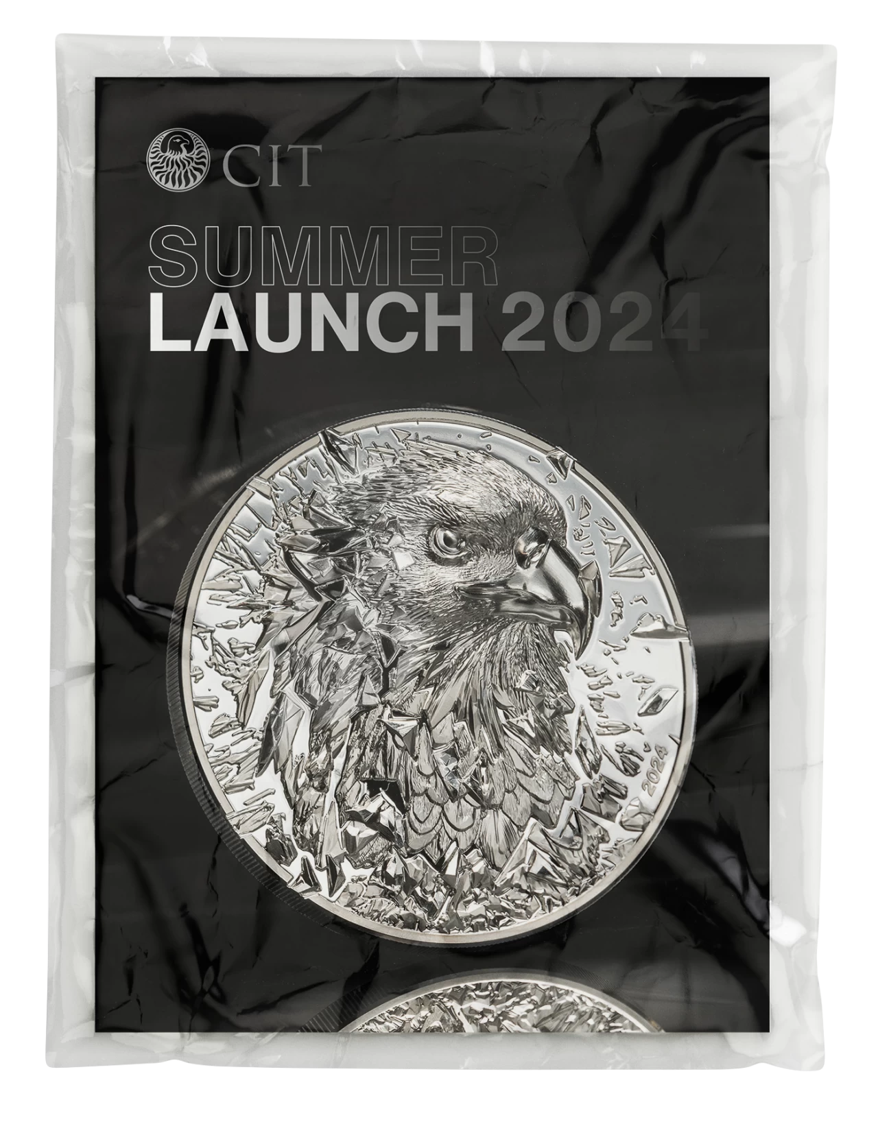 Summer Launch 2024