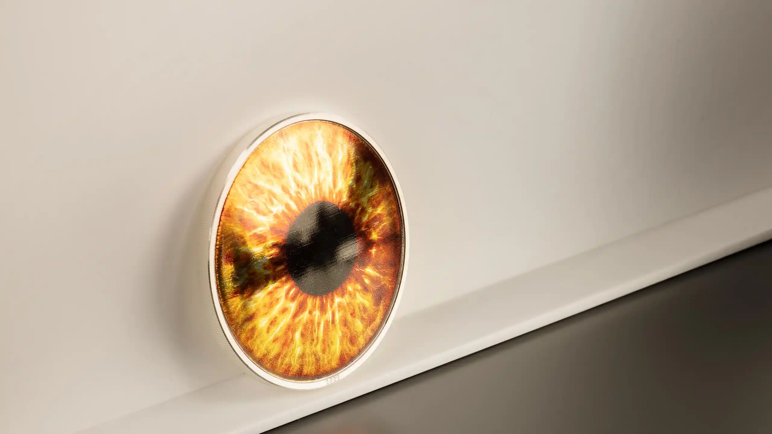 ColorEYEzed