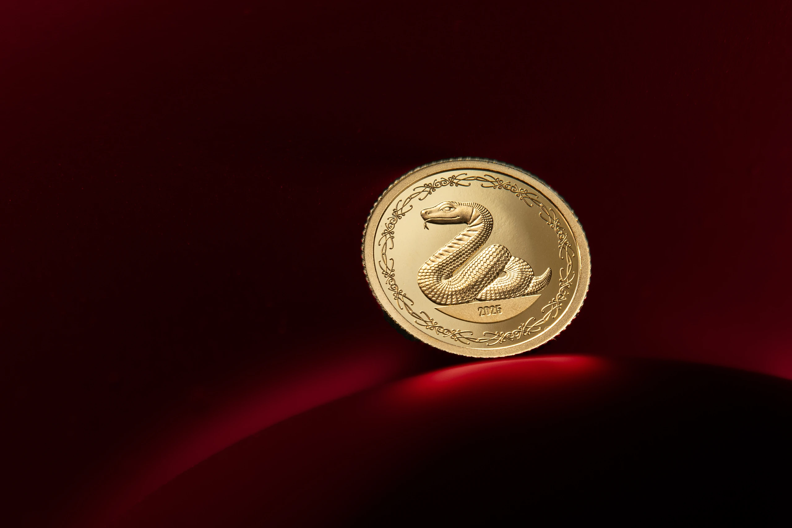 Year of the Snake
