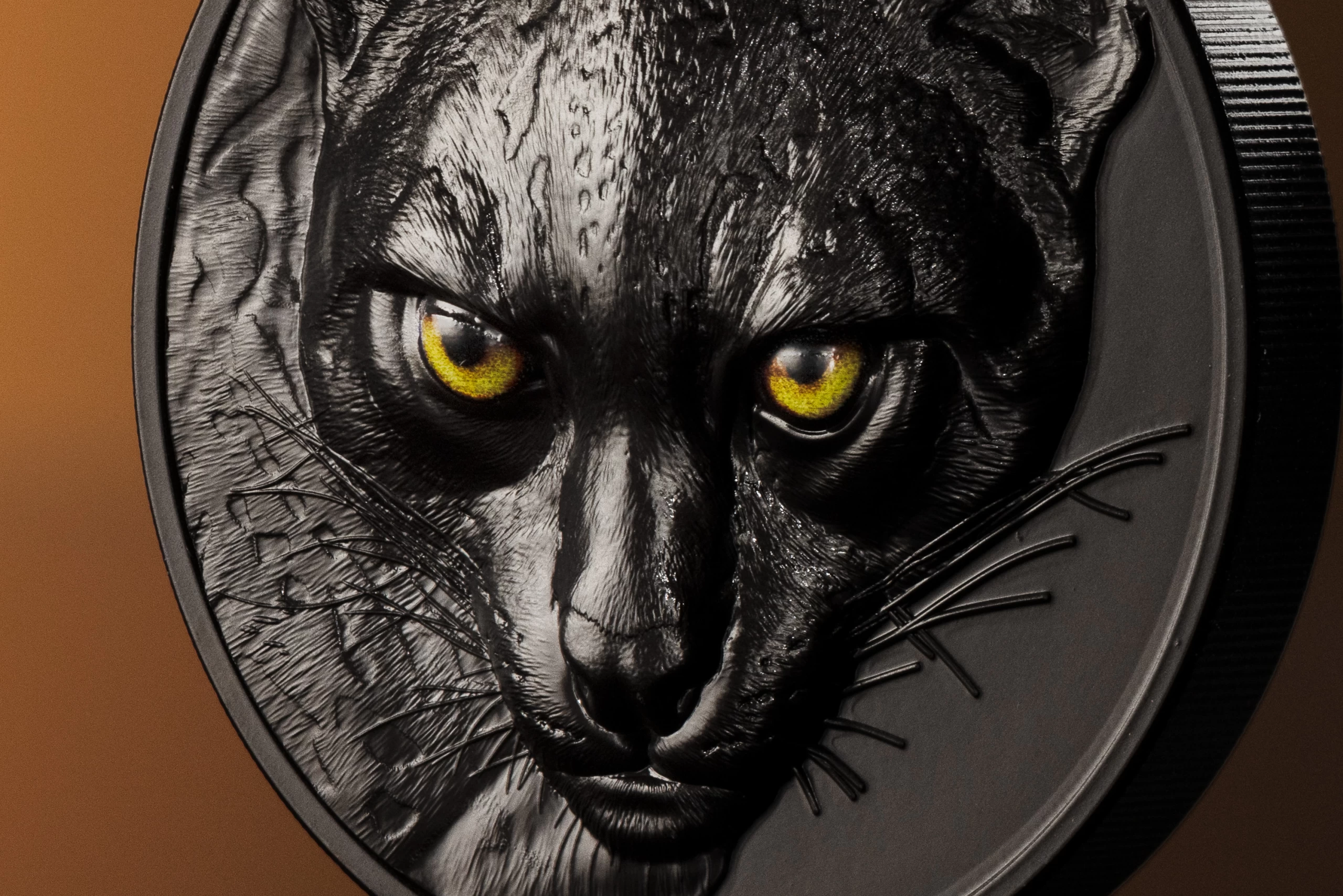 Ocelot