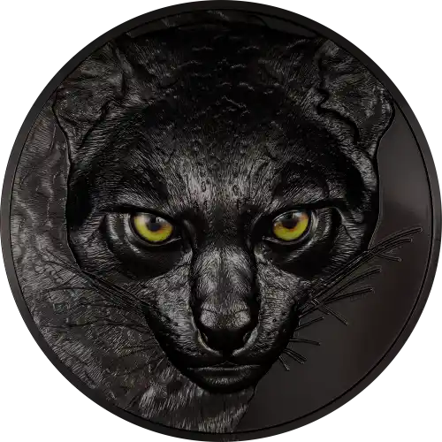 Ocelot Kilo