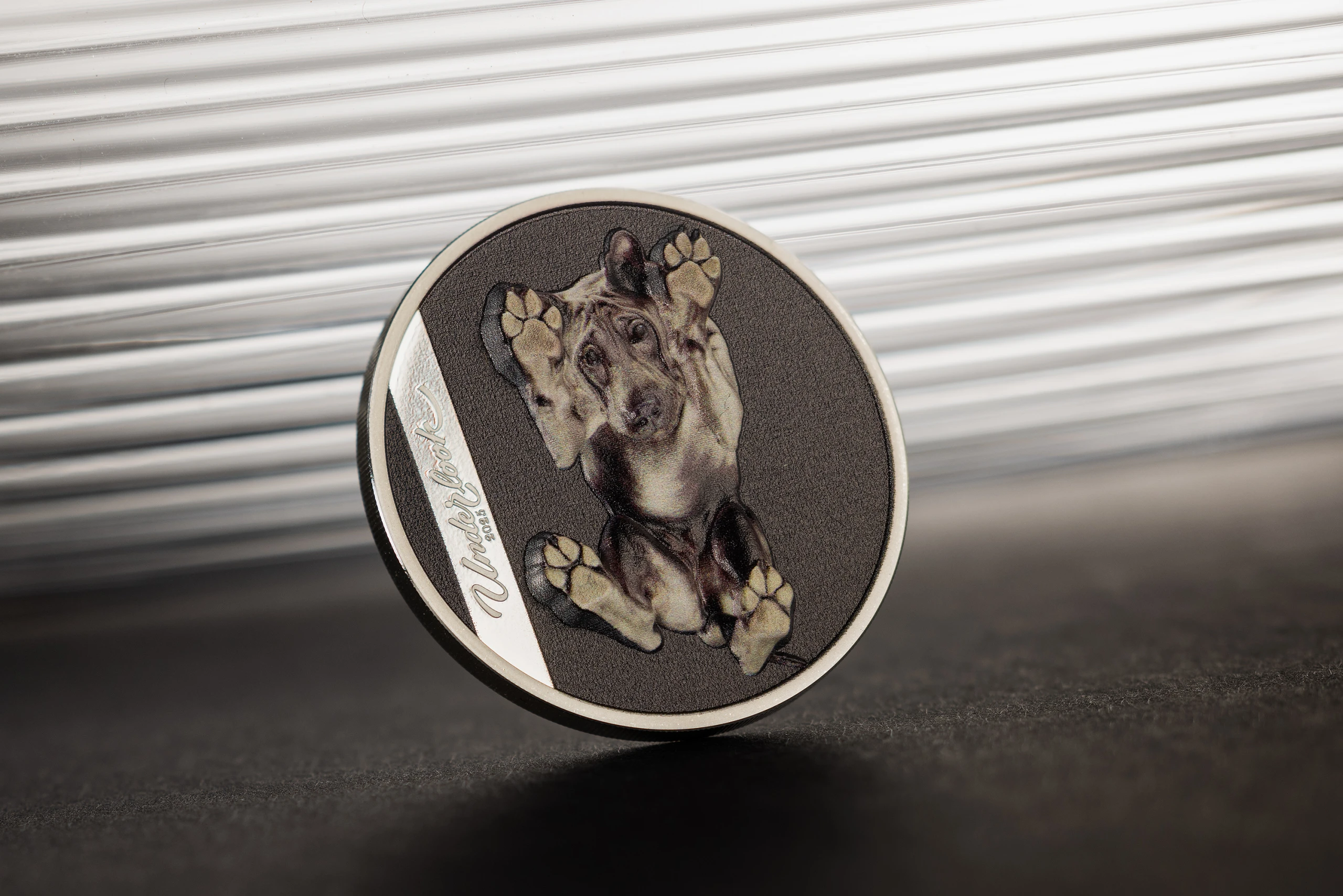 Underlook - Under-Dog