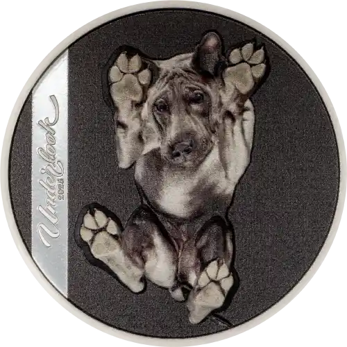 Underlook - Under-Dog