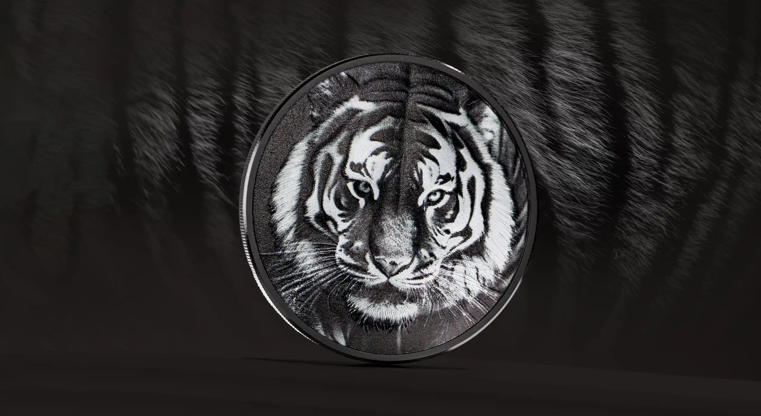 Black and White - Tiger