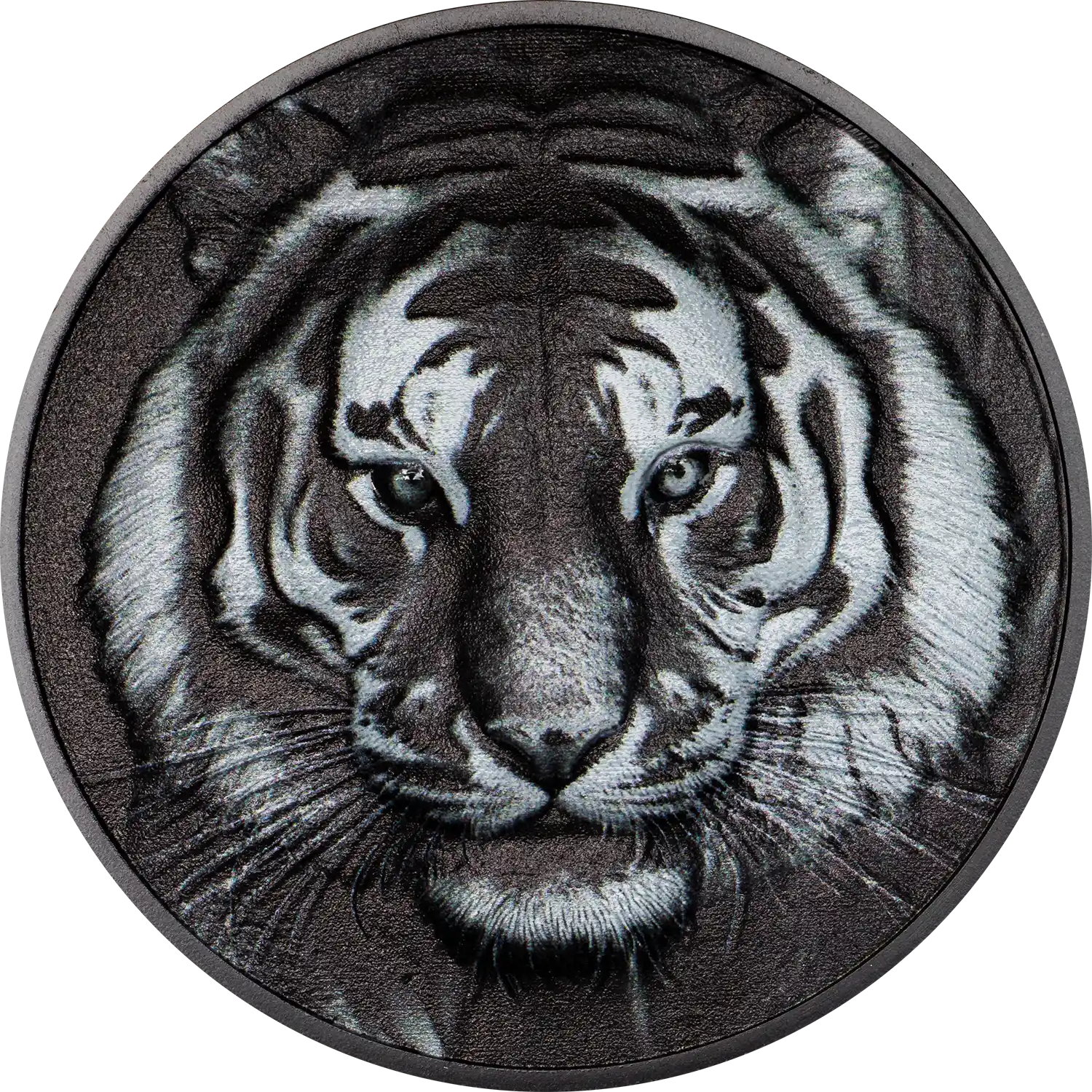 Black and White - Tiger