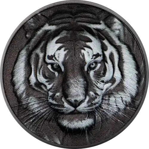 Black and White - Tiger