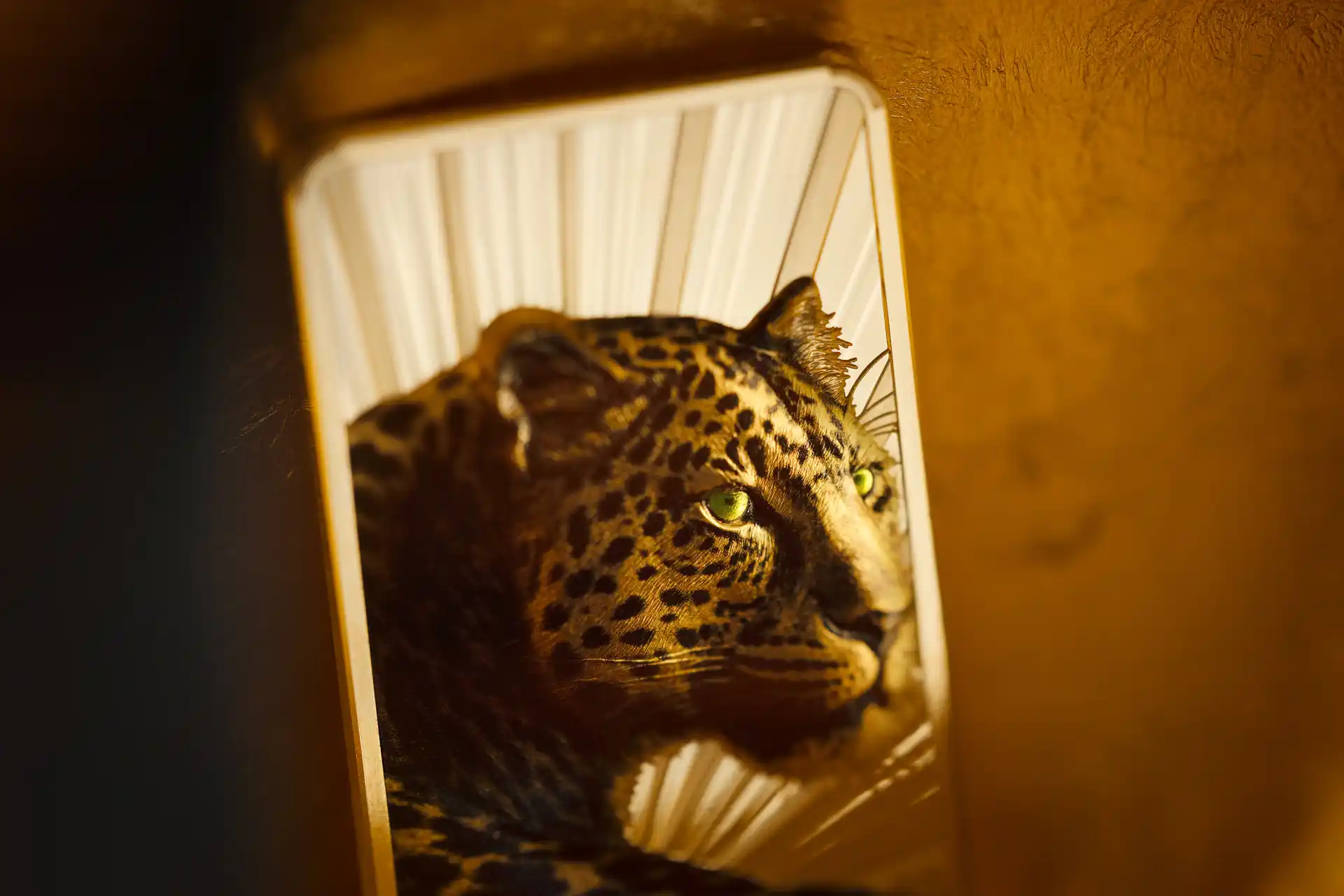 Item/10586/gallery/original/30904_Barres_de_luxe-Leopard_s6.jpg
