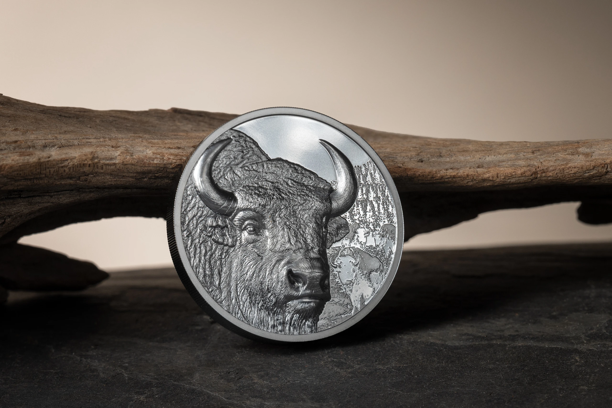 Bison