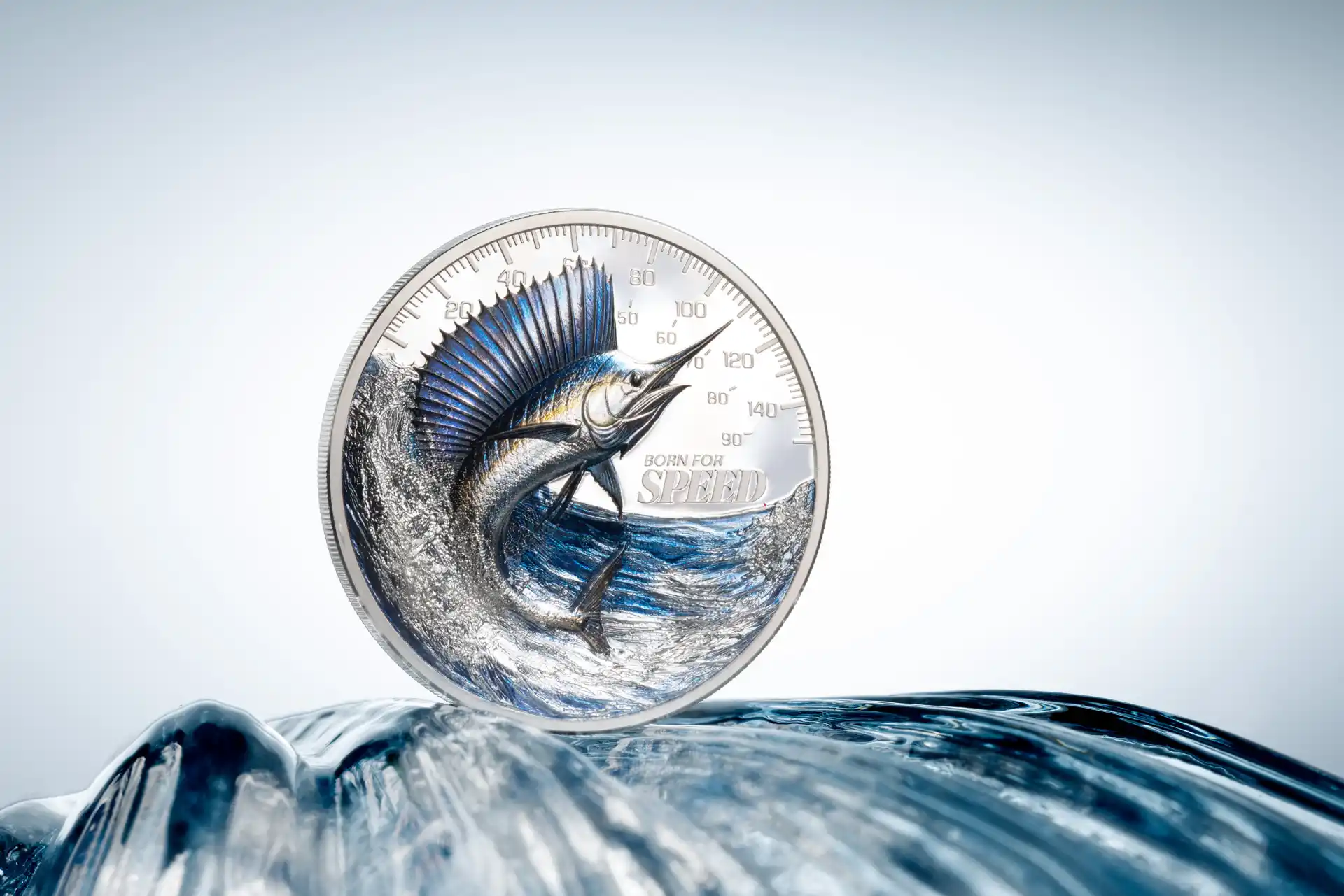 Item/11026/gallery/original/31254_Born_forSpeed-Sailfish_s1.jpg