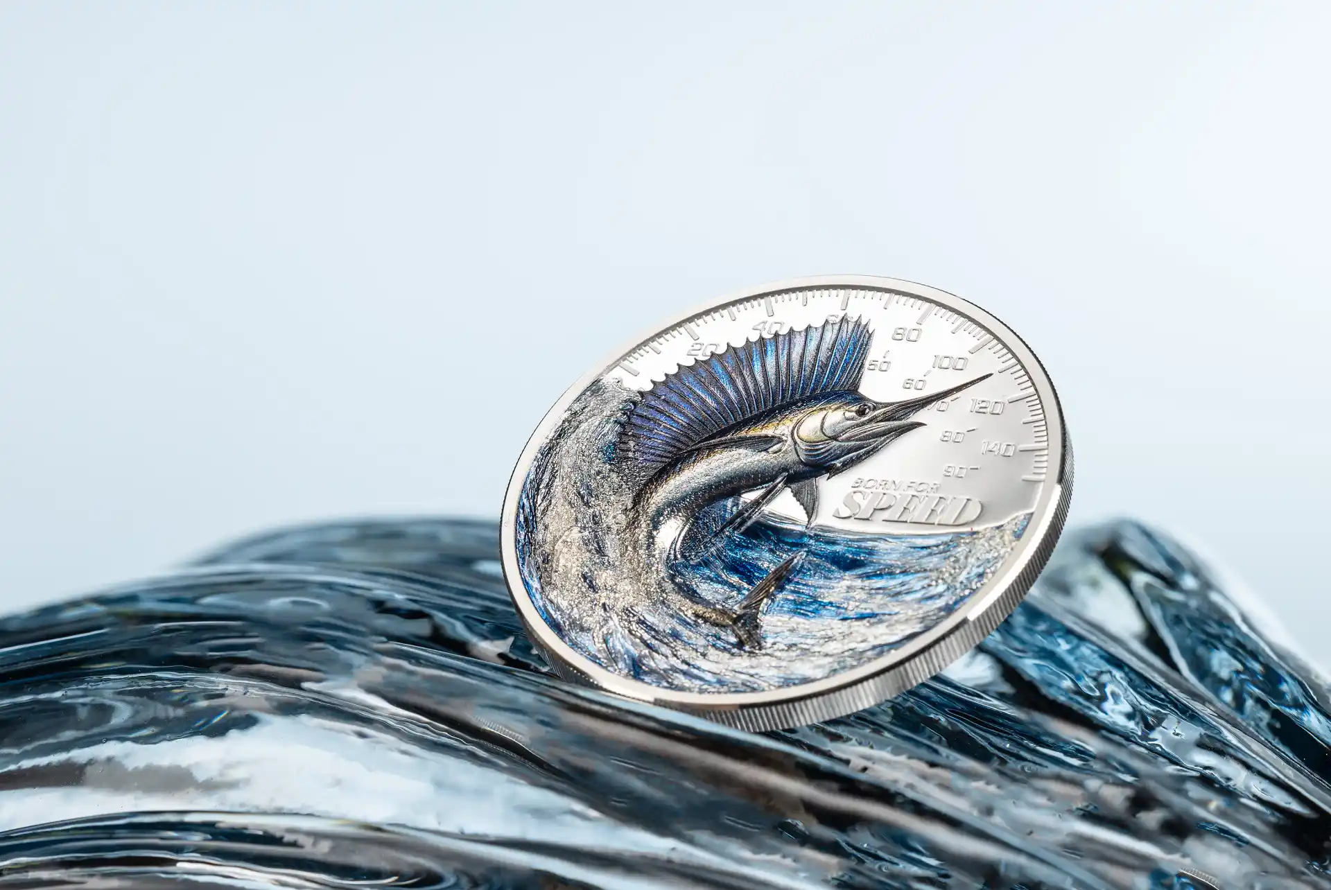 Item/11026/gallery/original/31254_Born_forSpeed-Sailfish_s2.jpg