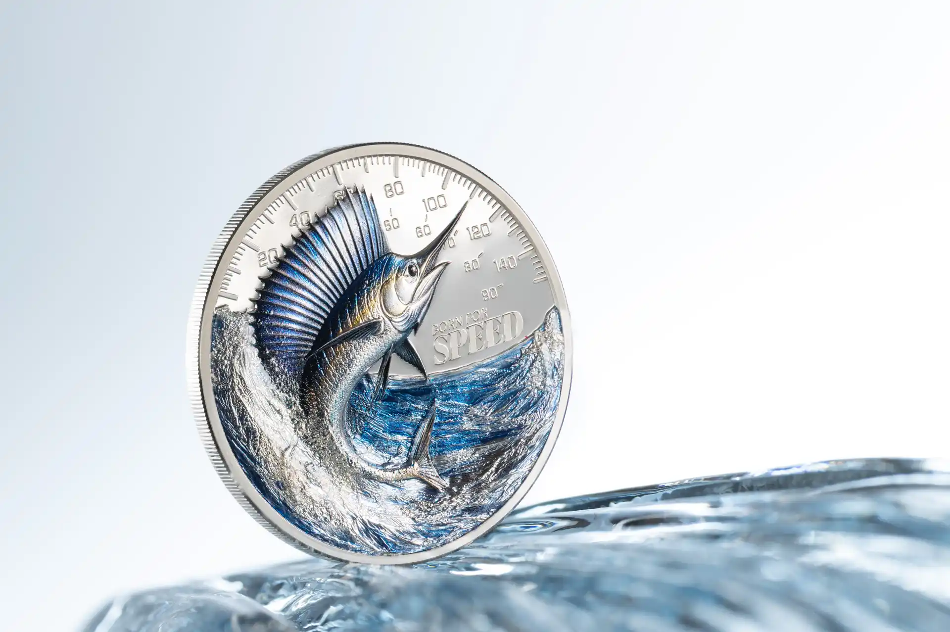 Item/11026/gallery/original/31254_Born_forSpeed-Sailfish_s3.jpg