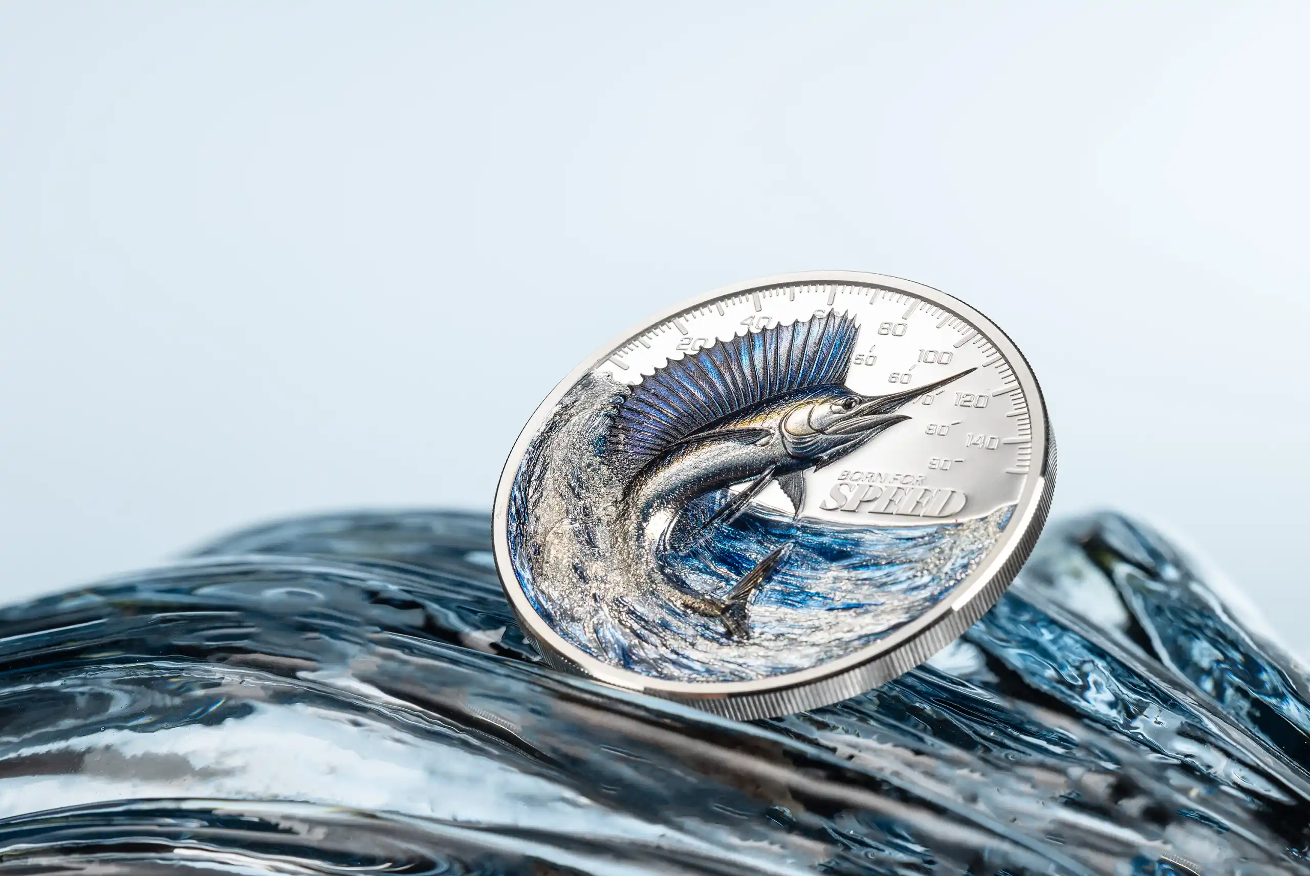 Sailfish
