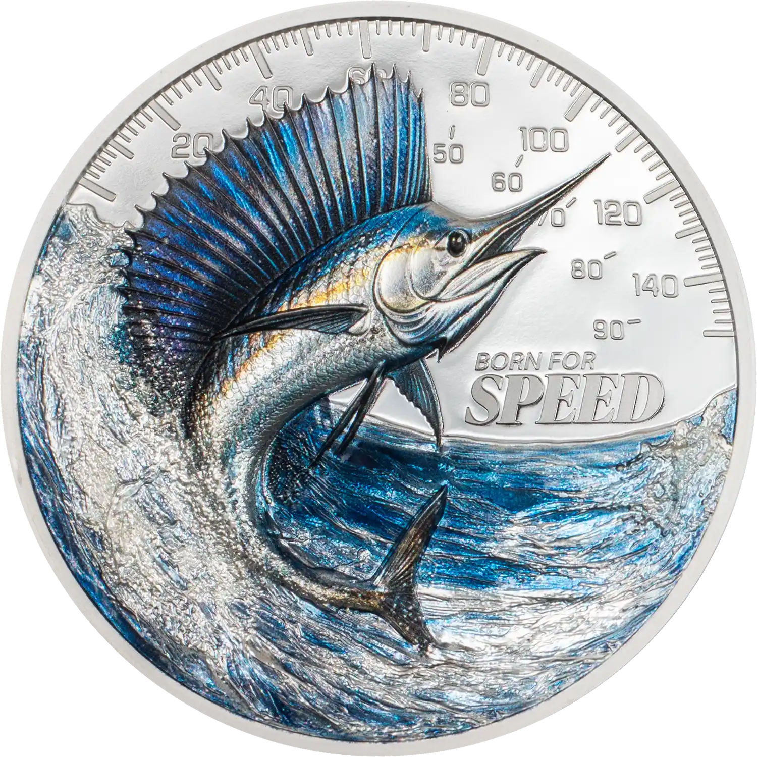Sailfish