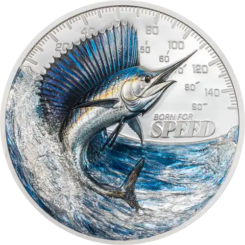 Sailfish