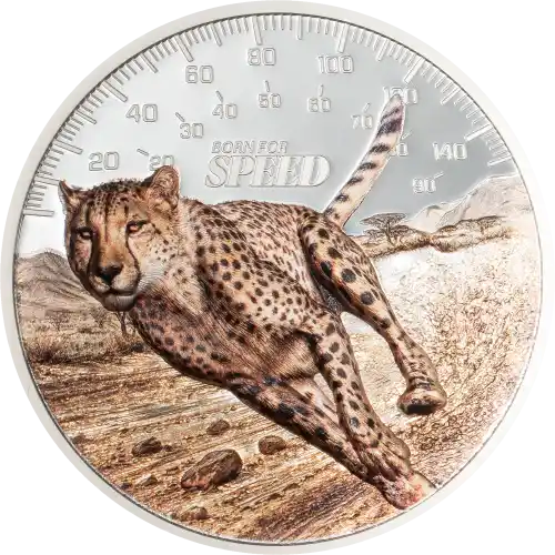 Cheetah