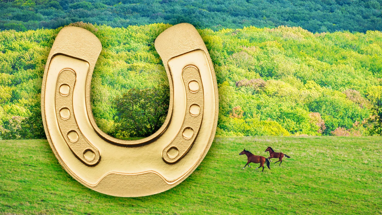 Golden Horseshoe