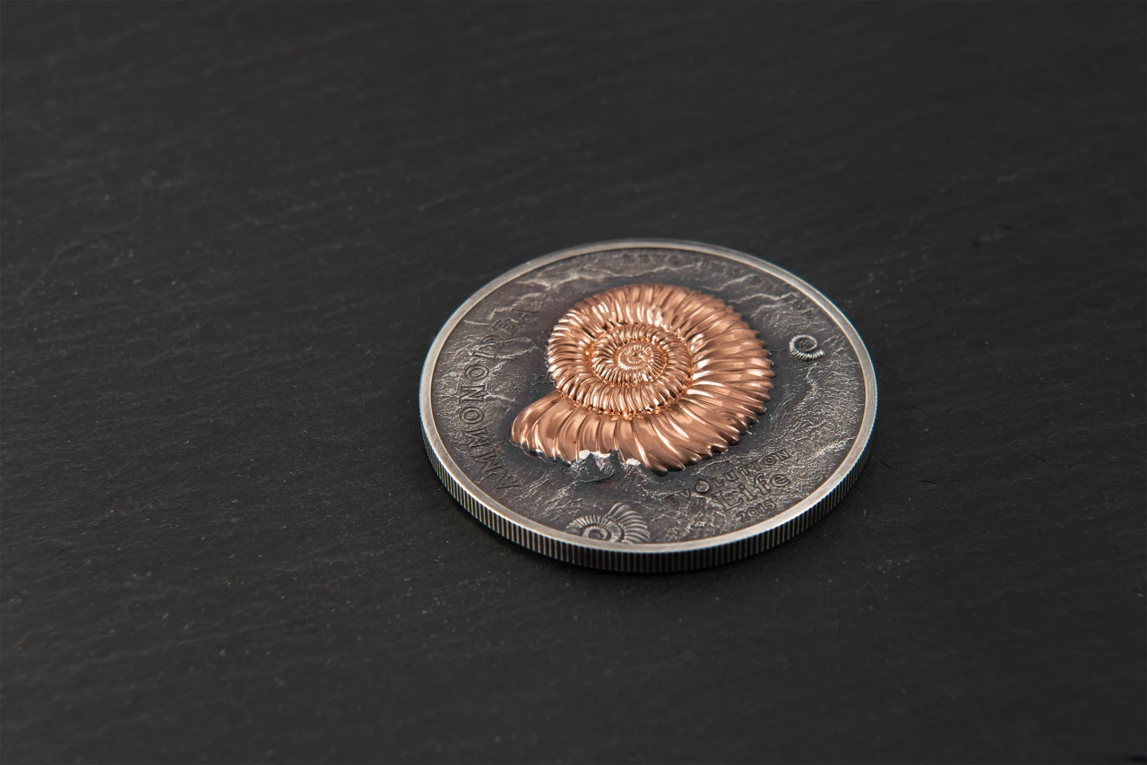 Ammonite