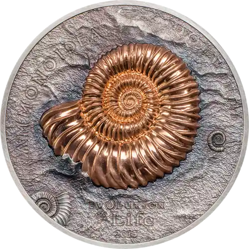Ammonite