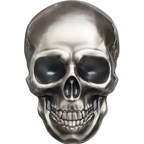 Skull No1
