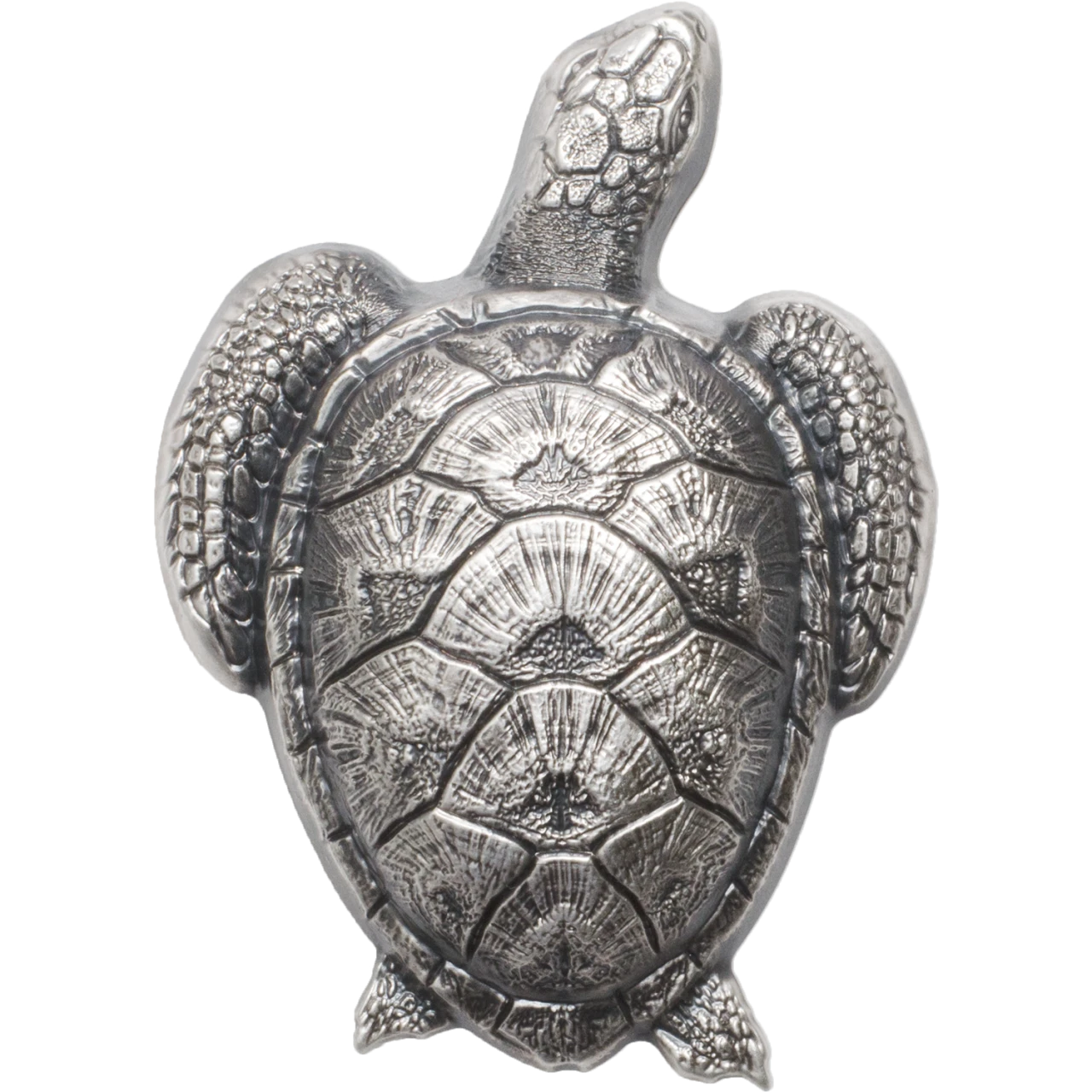 Sea Turtle