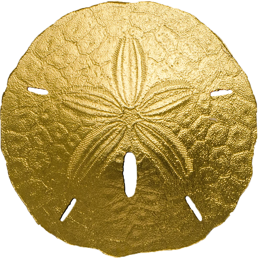 Golden Sand Dollar