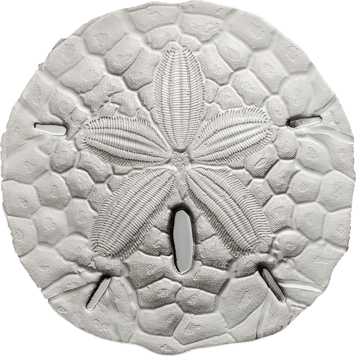 Sand Dollar