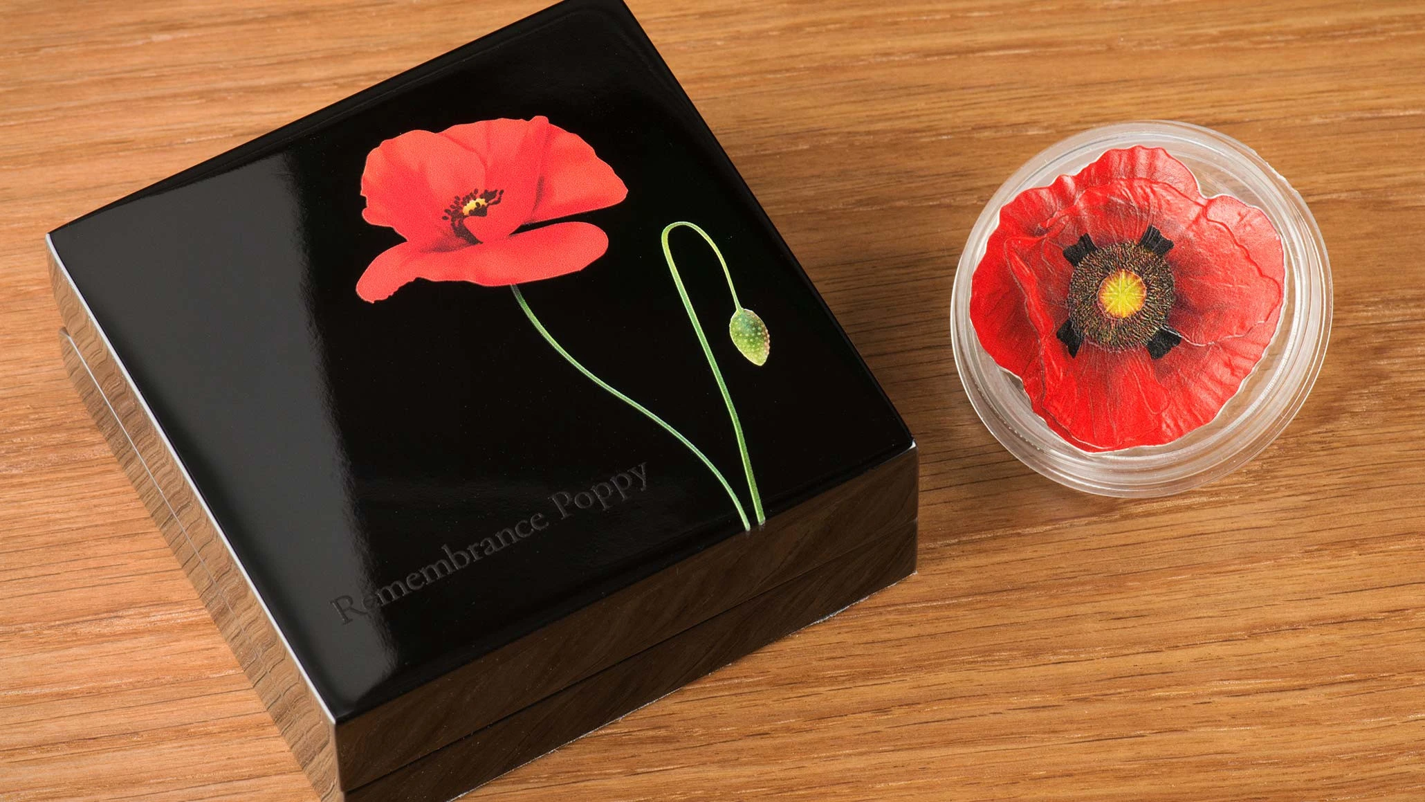 Remembrance Poppy