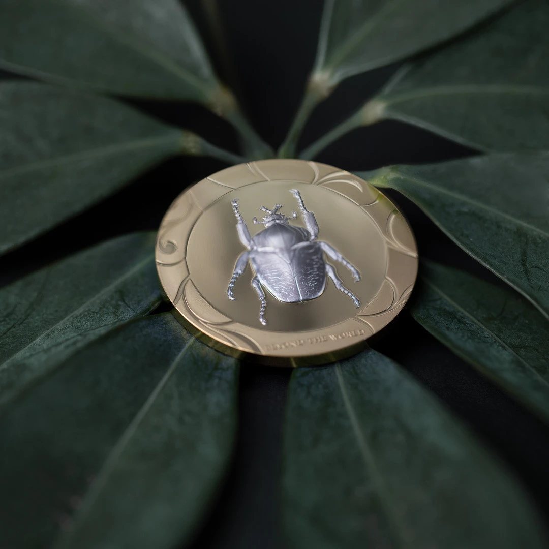 Selection II – Solitary Flame