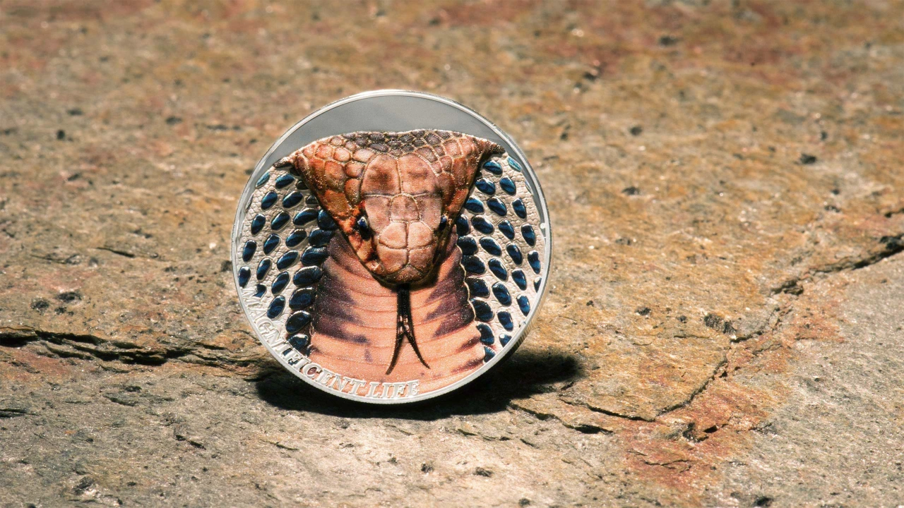 Cobra