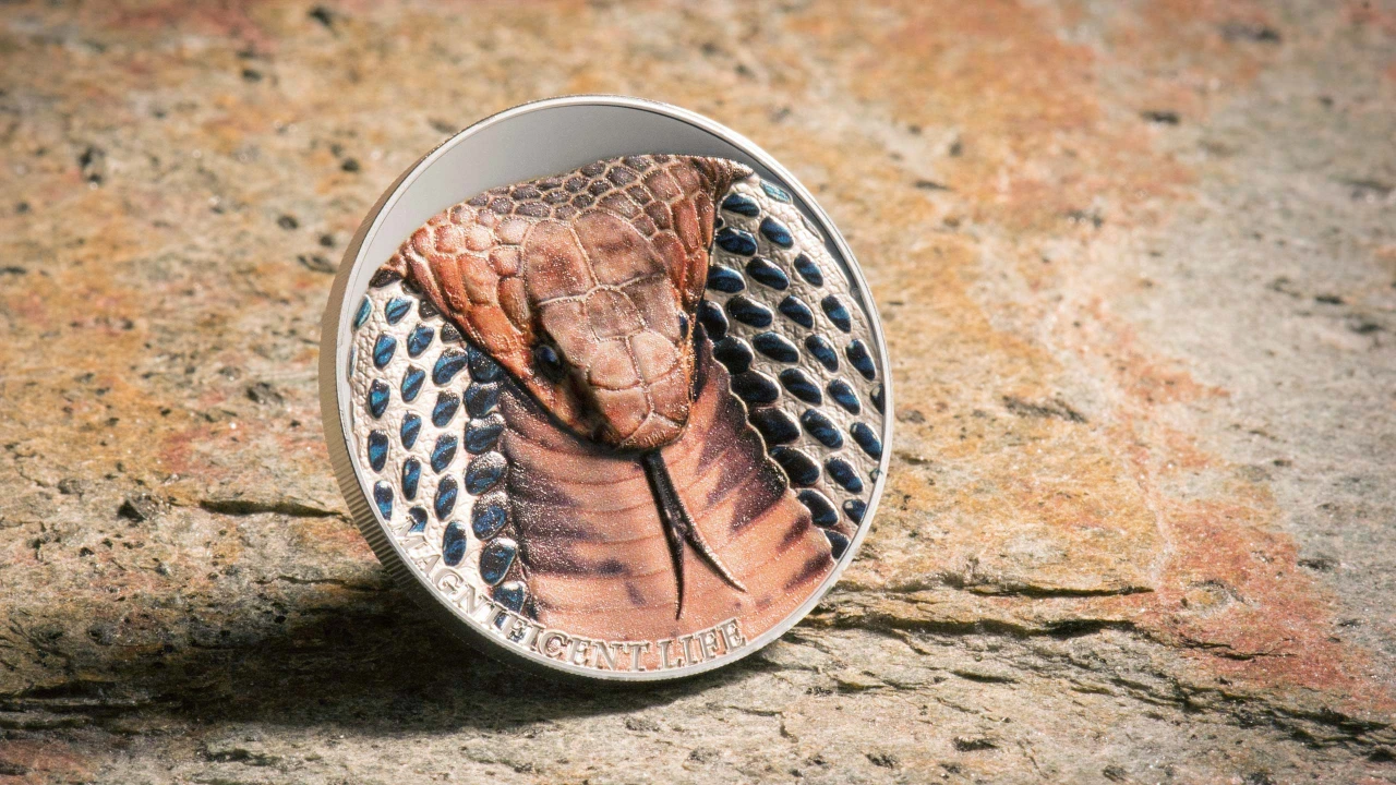 Cobra