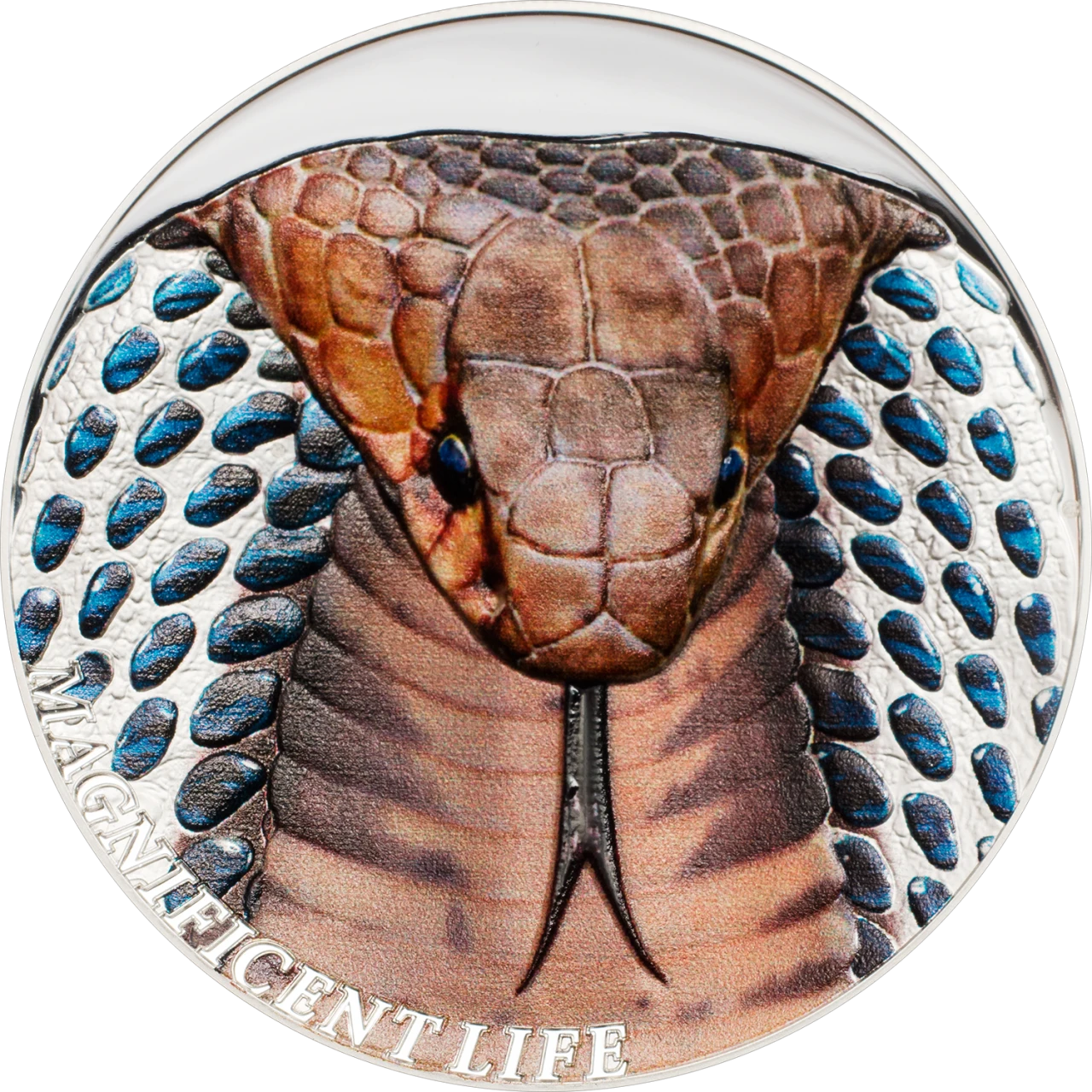 Cobra