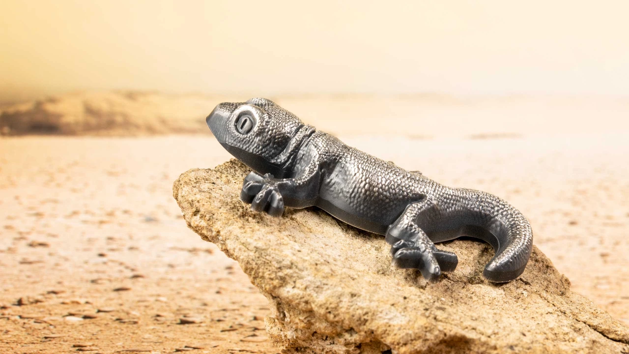 Silver Gecko