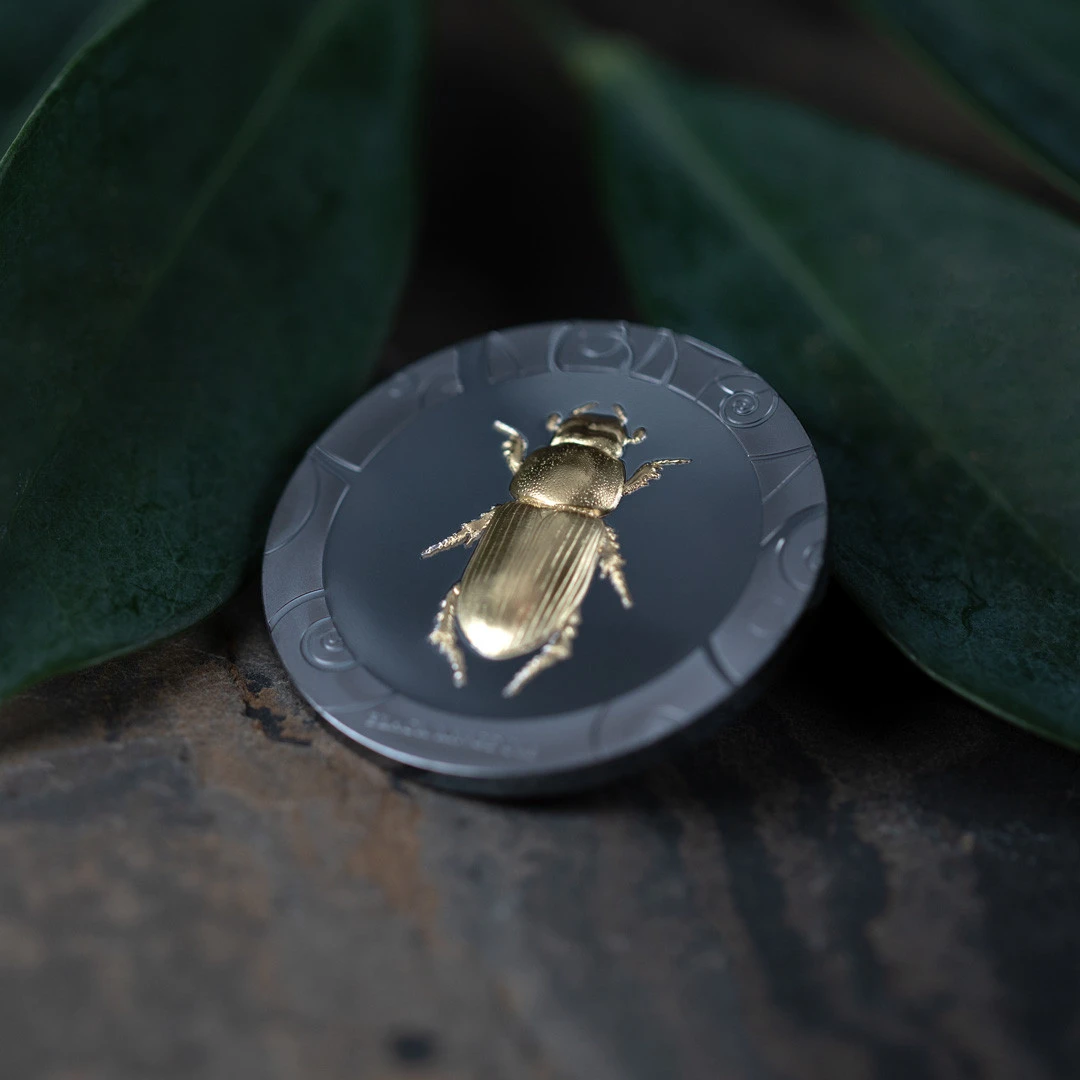 Selection III – Secret Riddle