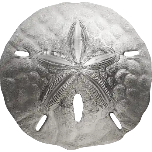 Sand Dollar II